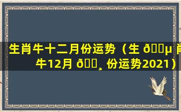 生肖牛十二月份运势（生 🌵 肖牛12月 🌸 份运势2021）